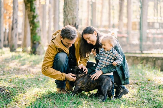 Little girl with mom and dad stroking a dog in the forest. High quality photo