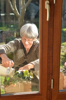 Elderly gray-headed lady European watering flowers at a garden
