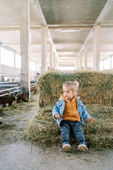 Little girl sits on a haystack at the farm and looks away. High quality photo