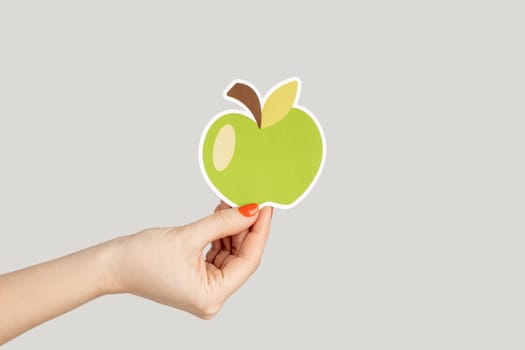 Closeup of woman hand showing paper green apple, symbol of healthy eating. Indoor studio shot isolated on gray background.