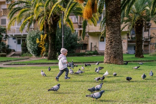 Little girl walks among the pigeons on a green glade. High quality photo