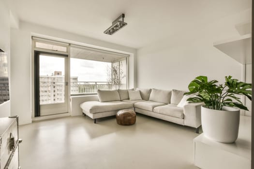 a living room with a couch and plant in the corner, looking out onto the street from the balcony area