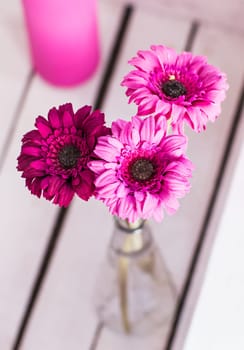 beautiful pink gerbera flowers bouquet in vase.