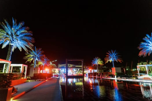 Palm trees in bright night illumination on the shore of a long pool. High quality photo