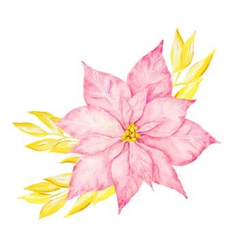 Pink and gold poinsettia. Watercolor hand drawn illustration of Christmas star. Clip art of winter symbol, new year ornament for holiday season prints, greeting cards, banners, invitations, packing, paper