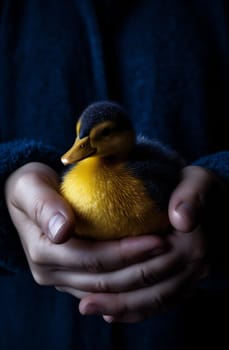 yellow nature summer duck season bird little hand duckling childhood happiness farm child person easter spring close-up girl fluffy background. Generative AI.