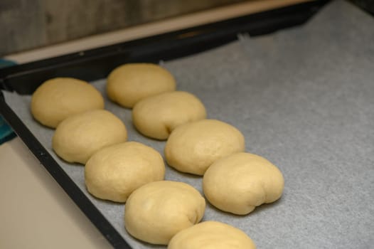 bun blanks on a baking sheet 5