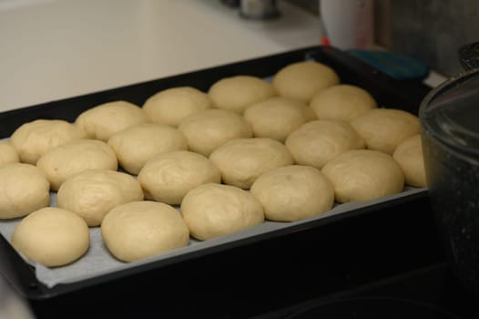 bun blanks on a baking sheet 1