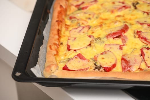 freshly baked pizza with cheese, tomatoes and chicken fillet 5