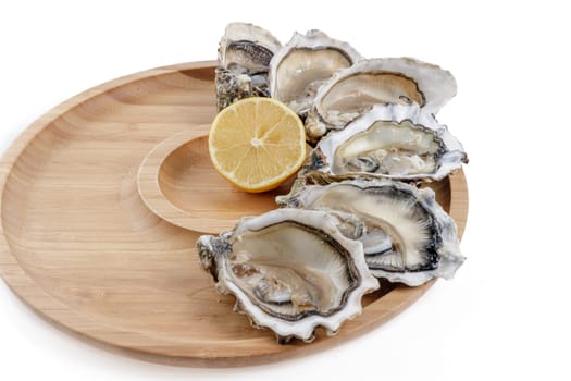 fresh appetizing oysters on white background