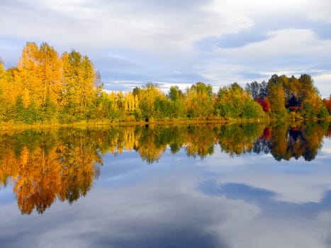 Autumn colored trees on cloudy sky background with reflection in the river water