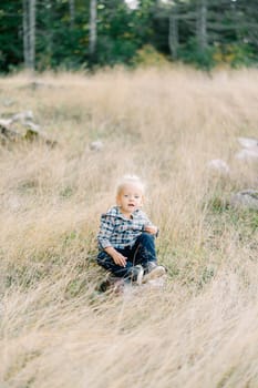 Little girl sits in dry grass on a stone near the forest. High quality photo