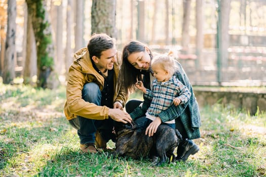 Little girl stands next to mom and dad stroking a french bulldog in the forest. High quality photo