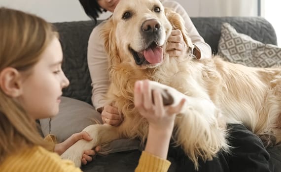 Mother and girl daughter playing with golden retriever dog paws sitting on sofa at home. Pretty teen kid and young woman petting purebred doggy pet indoors