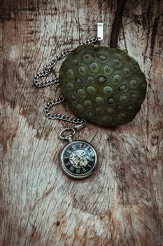 A retro pocket watch and Fresh green lotus seed pods on old wooden board background. Time and Peace conept, Copy space, Focus and blur.