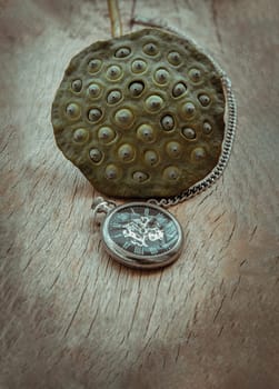 A retro pocket watch and Fresh green lotus seed pods on old wooden board background. Time and Peace conept, Copy space, Focus and blur.