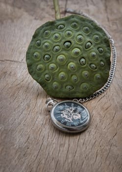 A retro pocket watch and Fresh green lotus seed pods on old wooden board background. Time and Peace conept, Copy space, Focus and blur.