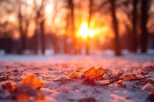 An exquisite visual representation of the winter skies, highlighting the unique color schemes and breathtaking beauty brought by the low-angled sun during winter sunrises and sunsets.