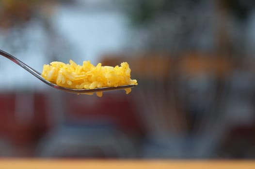 closeup with copyspace of fork with yellow rice. rice day. High quality photo