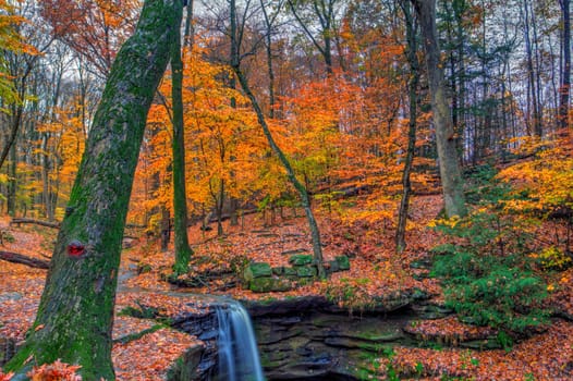 View of Dundee Falls in Autumn, Beach City Wilderness Area, Ohio