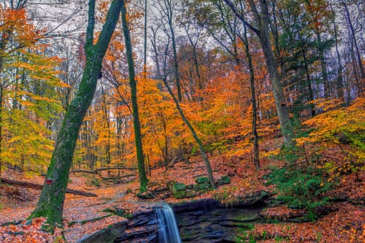 View of Dundee Falls in Autumn, Beach City Wilderness Area, Ohio