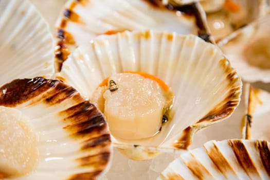 Top view of fresh scallops on a fishmonger's stall. Gourmet sea healthy food.