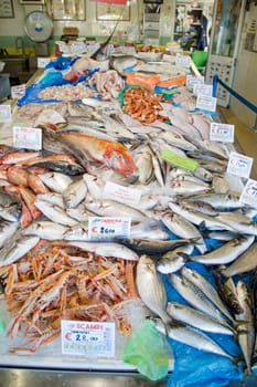 Top view of fresh fish on a fishmonger's stall. Gourmet sea healthy food.