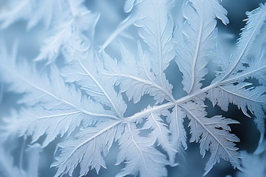 A mesmerizing exploration of winter's artistic side, unveiling captivating abstract patterns etched in the delicate intricacies of snow and frost on various surfaces.