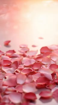 Pink rose petals on soft pink background. Petals of pink rose spa background. Realistic flying sakura cherry flower petals elements for romantic banner design. Copy space Valentine's Day concept. Space for text