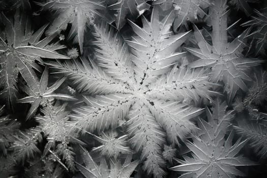 A mesmerizing exploration of winter's artistic side, unveiling captivating abstract patterns etched in the delicate intricacies of snow and frost on various surfaces.