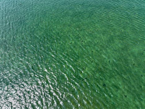 Green seawater with a pattern of ripples and sunshine reflecting suitable for a background