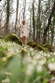 Snowdrops galanthus blonde. A girl in a white dress stands on a meadow with snowdrops in a spring forest.