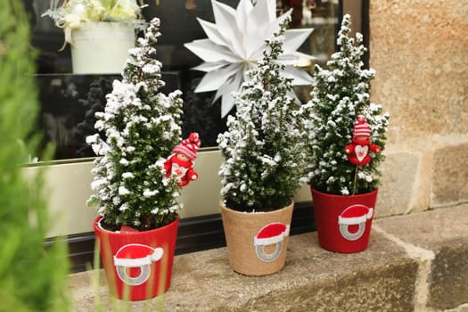 Christmas composition with small christmas trees