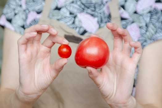 Hand holds tomatoes of different types close-up. Regular and cherry tomatoes are prepared for salad. High quality photo