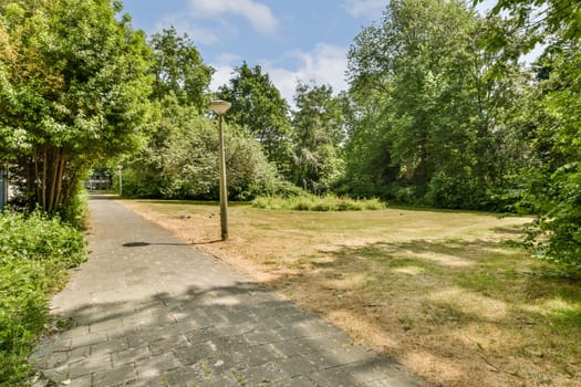 an empty park with trees and grass in the foreground, as seen from the ground looking up to the sky