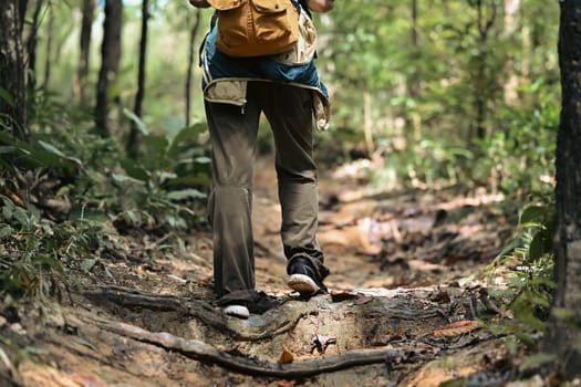 Active female hiker with backpack trekking in forest, exploring nature. Travel, vacation and adventure concept.