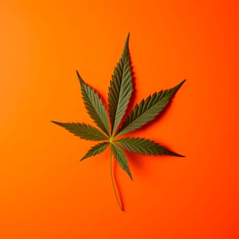 A cannabis leaf on a bright background. Minimalism. High quality photo