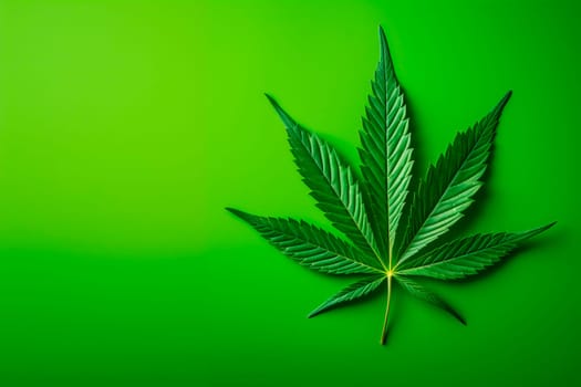 A cannabis leaf on a bright background. Minimalism. High quality photo