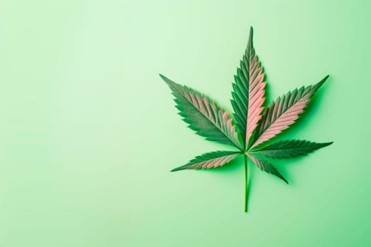 A cannabis leaf on a bright background. Minimalism. High quality photo