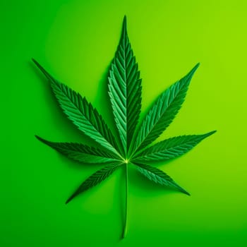 A cannabis leaf on a bright background. Minimalism. High quality photo