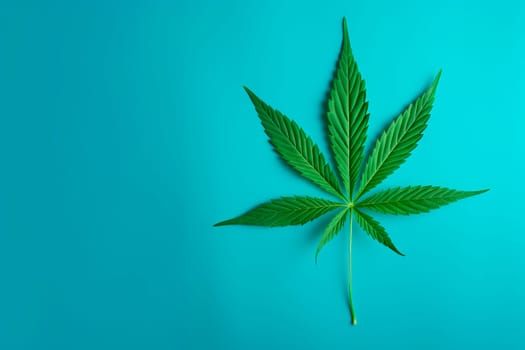 A cannabis leaf on a bright background. Minimalism. High quality photo