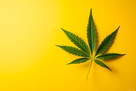 A cannabis leaf on a bright background. Minimalism. High quality photo