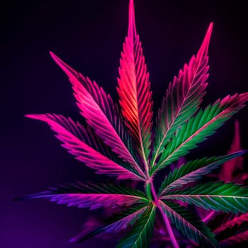 A cannabis leaf on a bright background. Minimalism. High quality photo