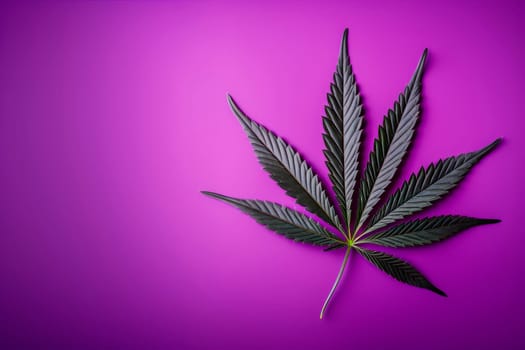 A cannabis leaf on a bright background. Minimalism. High quality photo