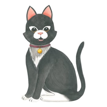 Watercolor illustration of a black and white cat with a collar, isolated on a white background, hand drawn.