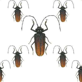 Seamless pattern of watercolor illustrations of a barbel beetle, isolated on a white background, hand-drawn.