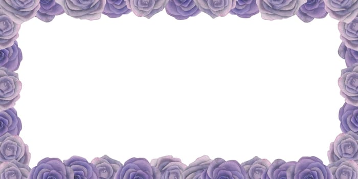 Rectangular frame of watercolor illustrations of lilac roses, on a white background, hand drawn.