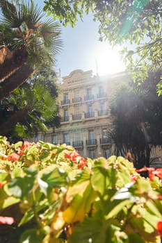 Monaco, Monte-Carlo, 09 November 2022: The Hotel Hermitage through flowers at sunny day, luxury life, building exterior of famous hotel, palm trees, sunshine, balcony. High quality photo