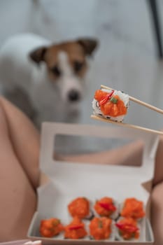 A woman sits on the sofa and eats rolls. Jack Russell Terrier dog sits on the floor and begs for food from its owner