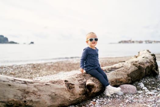 Little girl in sunglasses sits on a snag on the beach. High quality photo